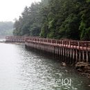 대도 어촌체험휴양마을 이미지