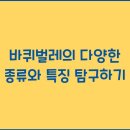 다양 이미지