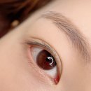 스튜디오 누은 | 광교속눈썹펌 추천 스튜디오 누은 광교본점 후기