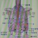 다섯발가락의 지압효과 이미지