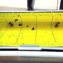 더본커머스 이미지