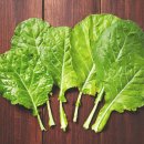 연소목장 이미지