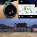 로드매니저 | 참좋은휘트니스 장은주 매니저 영덕블루로드트레일런 14.5K 참가 후기