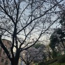 동천체육공원 이미지