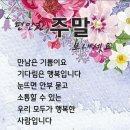 선택은 자유~~ 성경 필사노트 이미지