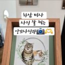 앙꼬사진관