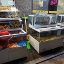 옛날횟집