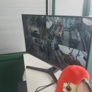 신화곡주유소 이미지