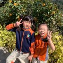 대자연유치원 이미지