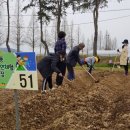 자연으로 농장 이미지