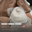 금정메디칼 | 부산 금정구 에스테틱 올리다 에스테틱 수분폭탄관리 후기