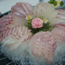 일출봉활어횟집 이미지