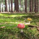 Soo-J 행정사사무소 이미지