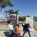 진도연합새마을금고 정미소 | 전라북도. 군산- 진포해양테마공원