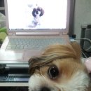 봉봉다락방