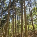 정발산공원 화장실-6 이미지