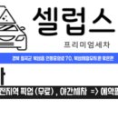 셀럽스팀