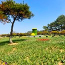 (주)코리아세븐태안점 | 2025 태안 튤립축제 봄꽃 실시간 개화 무료입장 후기