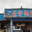 용궁복어 이미지