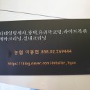 더스타일세차장