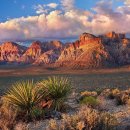 베스트 오브 벨리 이미지