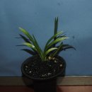 자산동011 이미지