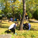 금계초등학교 이미지