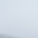 요동목장 이미지