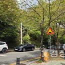 남산레포츠공원 이미지