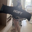 [필리핀] 3월 보홀여행, 1일차 · 2일차 기록 | 나팔링 투어, 헤난알로나비치, 라모이식당, 할로망고