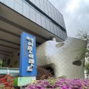 글로벌도서관 | [의왕] 못 보던 영어원서가 가득 - 의왕시 글로벌도서관 방문 후기
