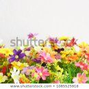 세기 행정사 사무소 이미지