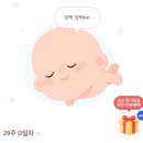 꼬꼬앤부대 | 엄마를 닮은 감귤이와 임신후기 즐기기 (29주~ 33주 👼🏻)