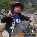 요정농장 이미지