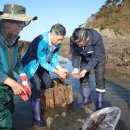 곰섬마을 이미지