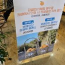 일남농장 | 제주 감귤체험, 보메와산 감귤체험농장 제주도 애견동반 귤따기 후기