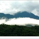 공치는날 이미지