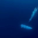 국립해양생물자원관 씨큐리움 이미지