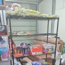 두리환경 | 원주두리캠핑장 1캠핑장 놀이타프16 우중캠핑 후기