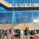 해빛다이브