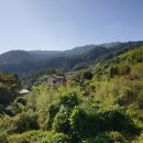 약초향기 민박 이미지