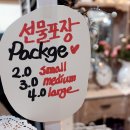 베티하우스 이미지