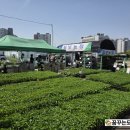 대근농장 네이버블로그