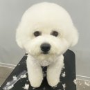 고방동물병원 이미지