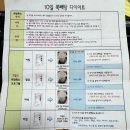 오돌뼈365 | 광명역다이어트 쪽빼탕 한약다이어트 10일 후기