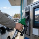 성산농협주유소 이미지