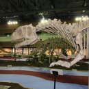 [대구]공룡엑스포 / 뉴욕 자연사박물관 이미지