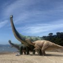 🦖 충남 보령 공룡이 보이는 니드 카페 후기
