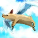 하늘돼지 이미지