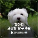 서수원동물병원 이미지